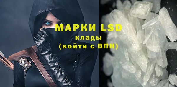 стафф Вяземский