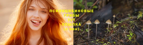 стафф Вяземский
