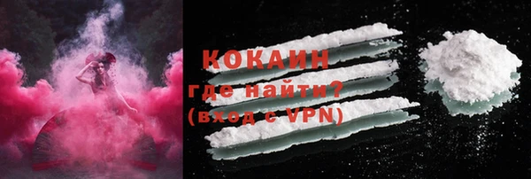стафф Вяземский