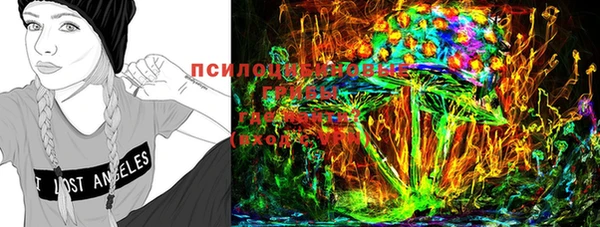PSILOCYBIN Вязьма