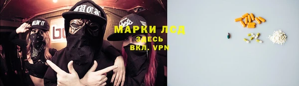 стафф Вяземский