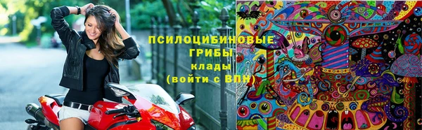 PSILOCYBIN Вязьма