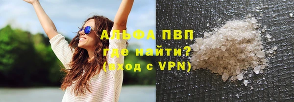 PSILOCYBIN Вязьма