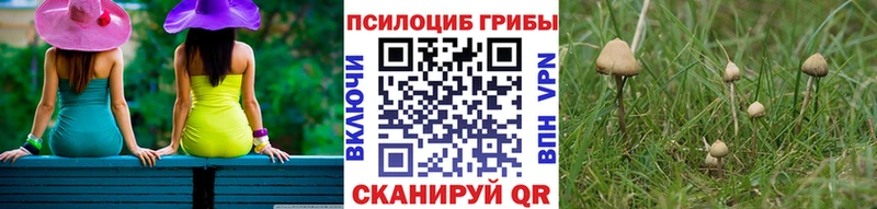 Галлюциногенные грибы ЛСД  Луга 
